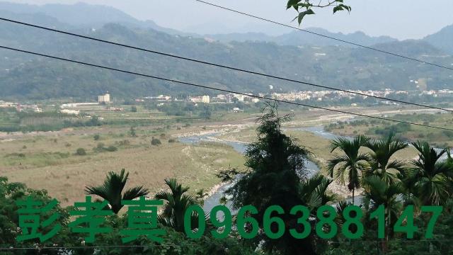 台中林地-3