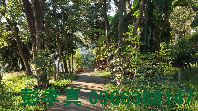 台中林地-2