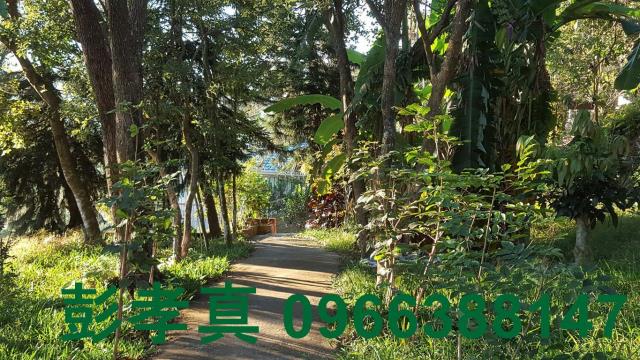 台中林地-1