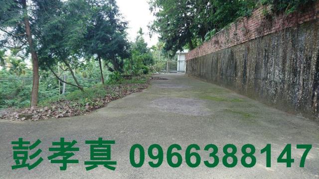 台中林地-0