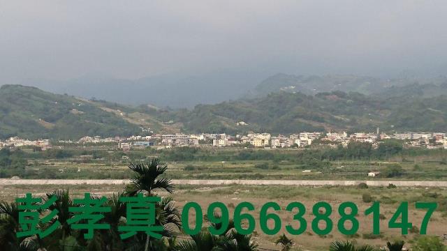 台中林地-5