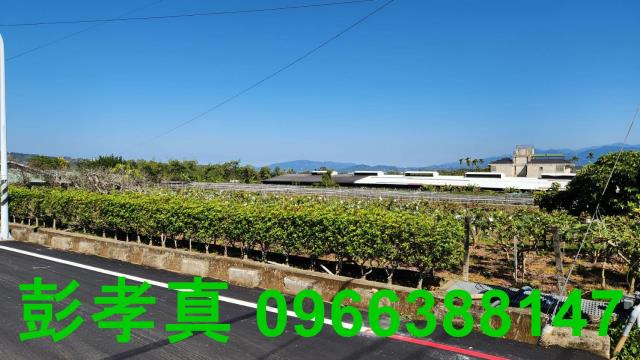 台中農地-6