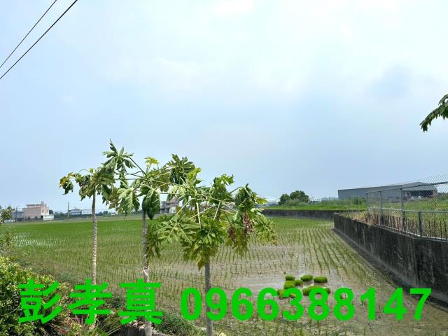 霧峰農地-10