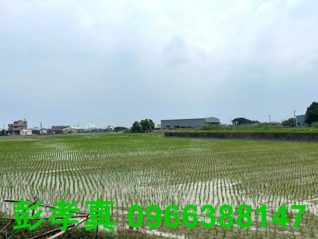 霧峰農地-11