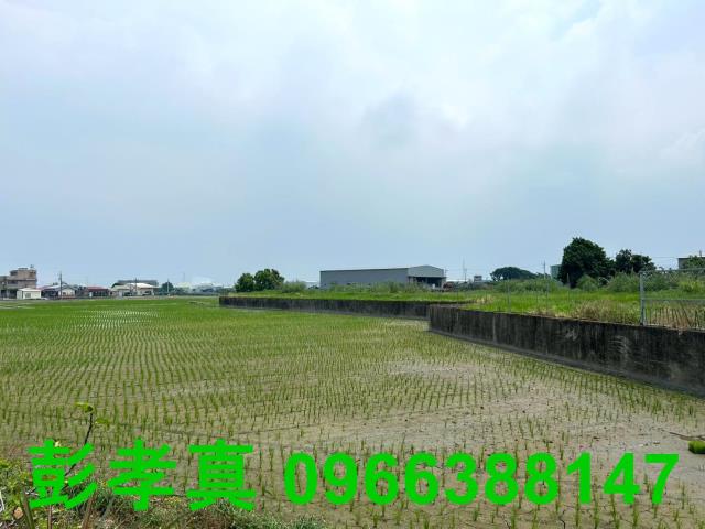 霧峰農地-12