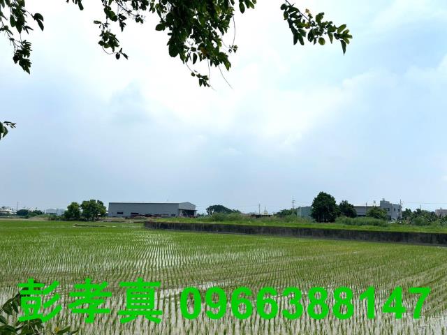 霧峰農地-7