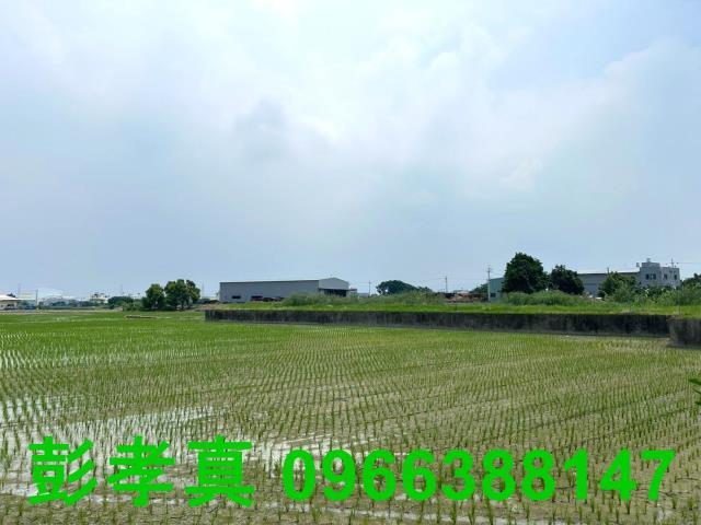 霧峰農地-8